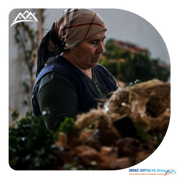 صادرات تاج گل کریسمس از آنتالیا 22 b7